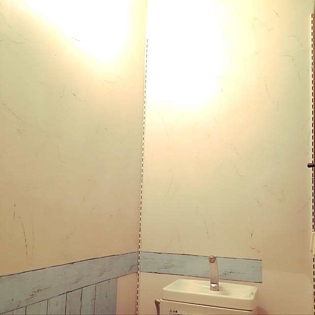 monamiさんの実例写真