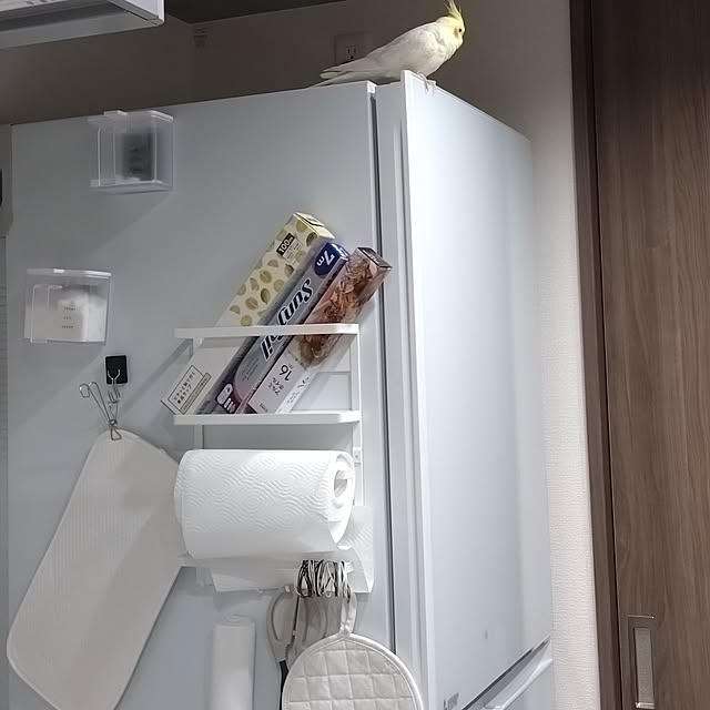 toratanさんの実例写真