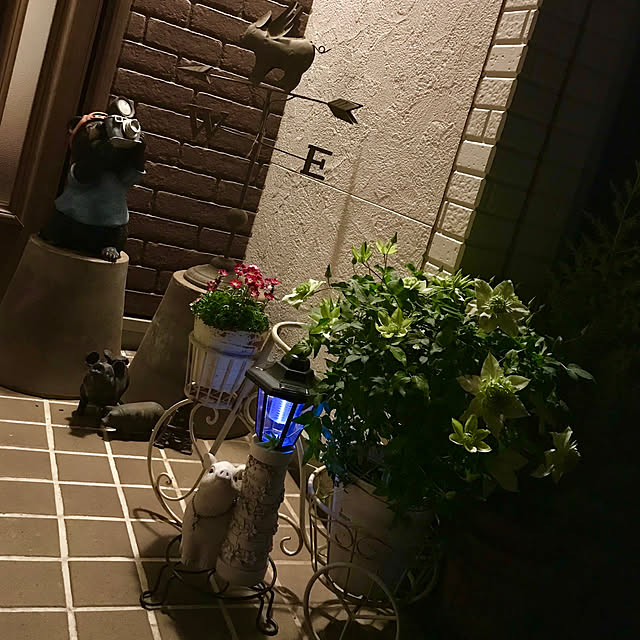 butachanさんの実例写真