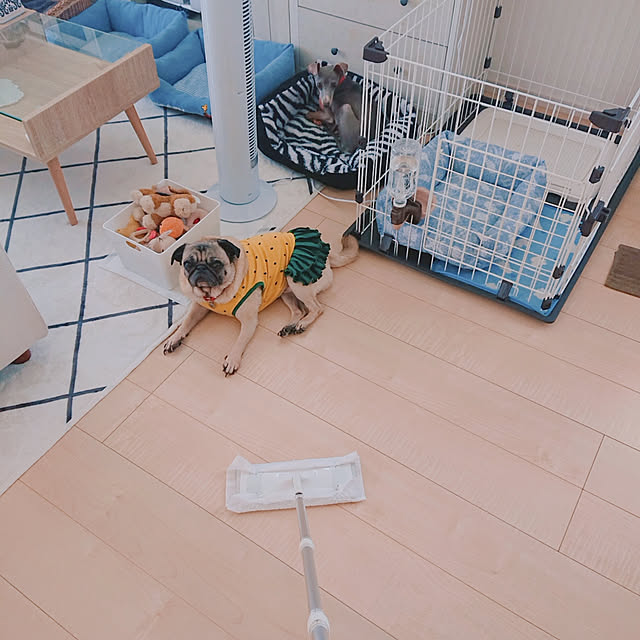 mami3725さんの実例写真