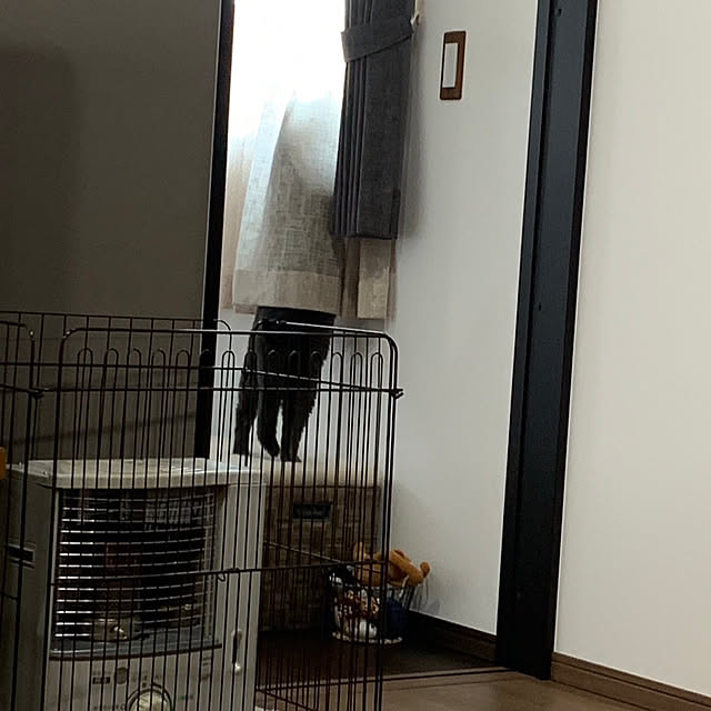 emabokさんの実例写真