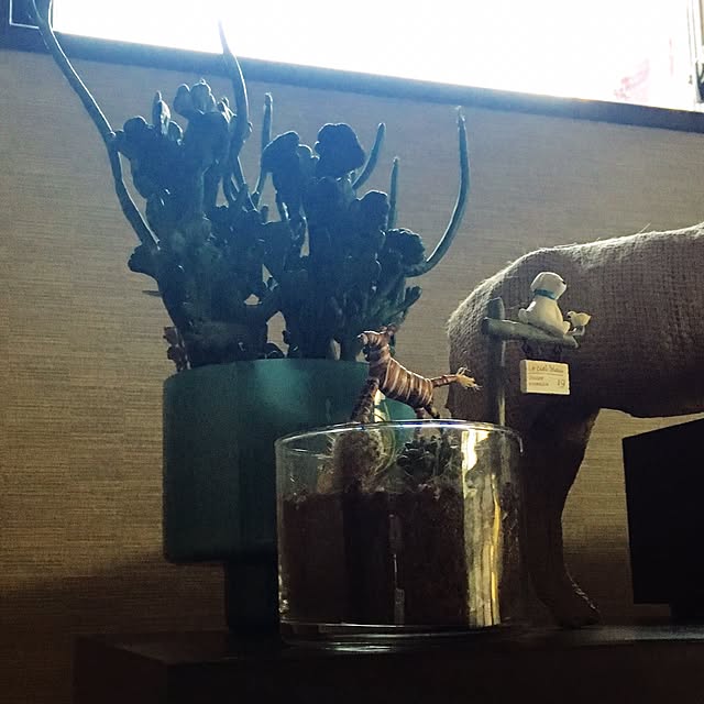 yujmさんの実例写真