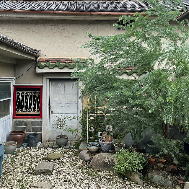 joshua.treeさんの実例写真