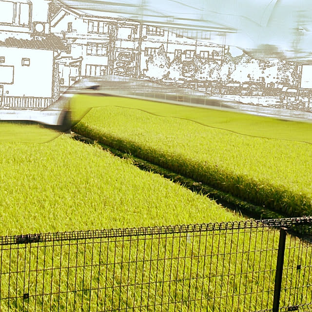 rikurenさんの実例写真