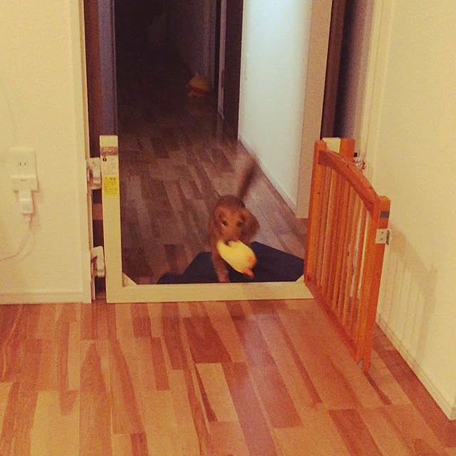 cocoaさんの実例写真