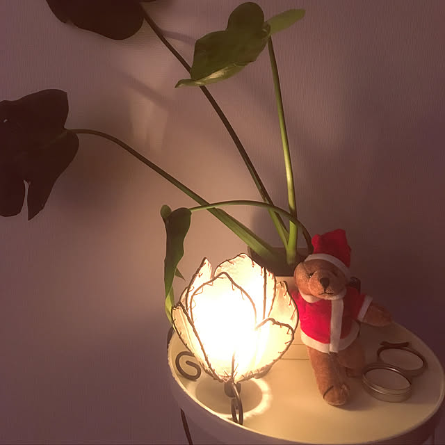 リビング/一人暮らし/北欧/観葉植物/DIY...などのインテリア実例 - 2018-11-22 23:55:15