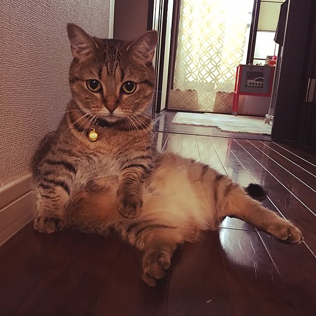 nono87さんの実例写真