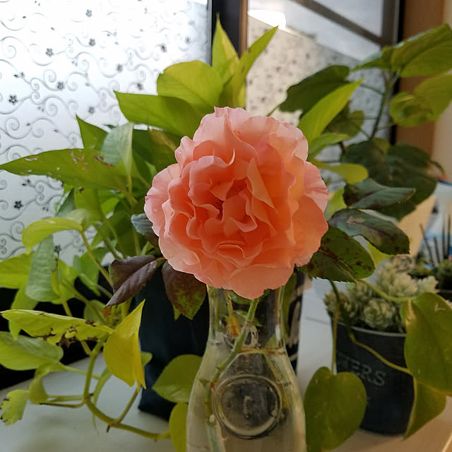 Kinanさんの実例写真