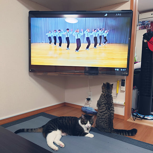noguriさんの実例写真