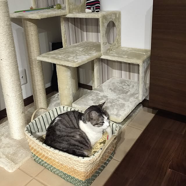 cherryさんの実例写真