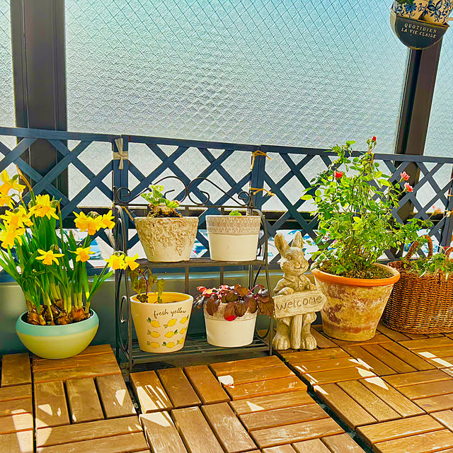 naokoさんの部屋