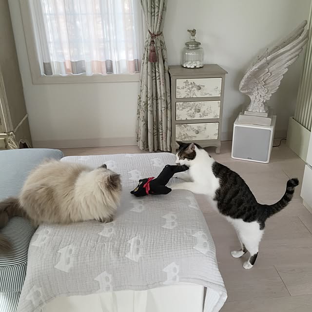 yuchiさんの実例写真