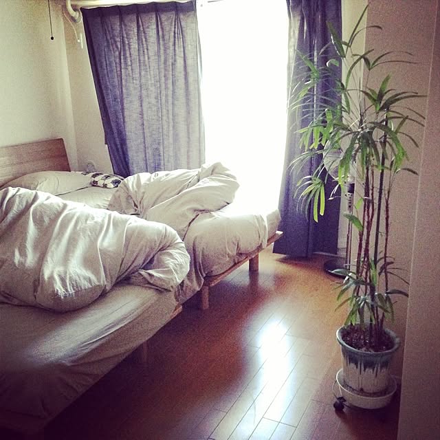 aknb08さんの実例写真