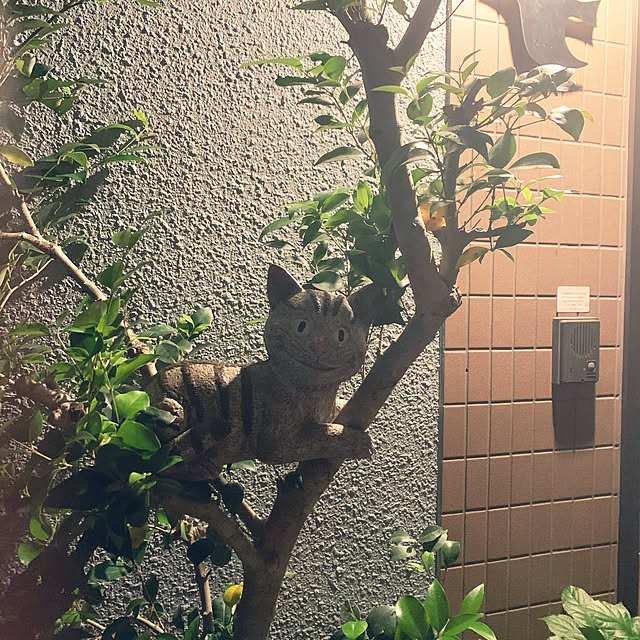 taeoさんの実例写真