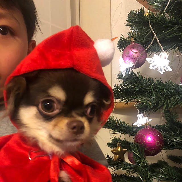 KMRさんの実例写真