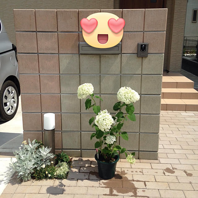 Akikoさんの実例写真