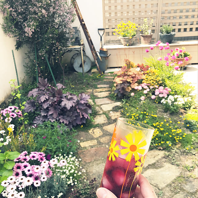 cocco0505さんの実例写真