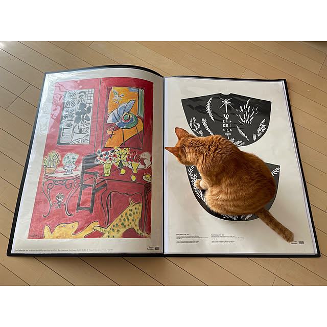 derazouさんの実例写真