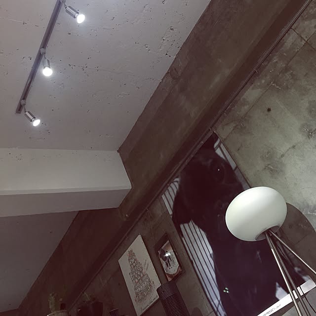 nikuoさんの実例写真