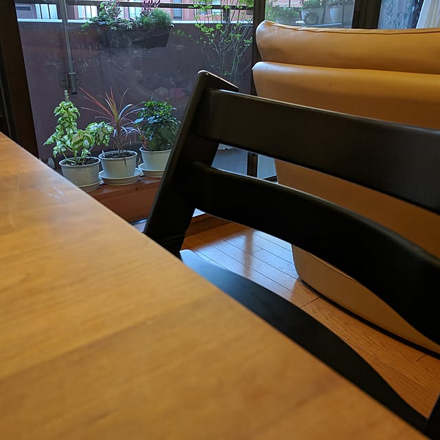 実例写真
