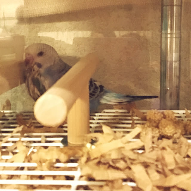 ohanaさんの実例写真