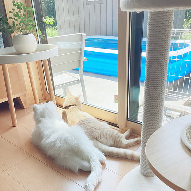 m.k.mさんの実例写真