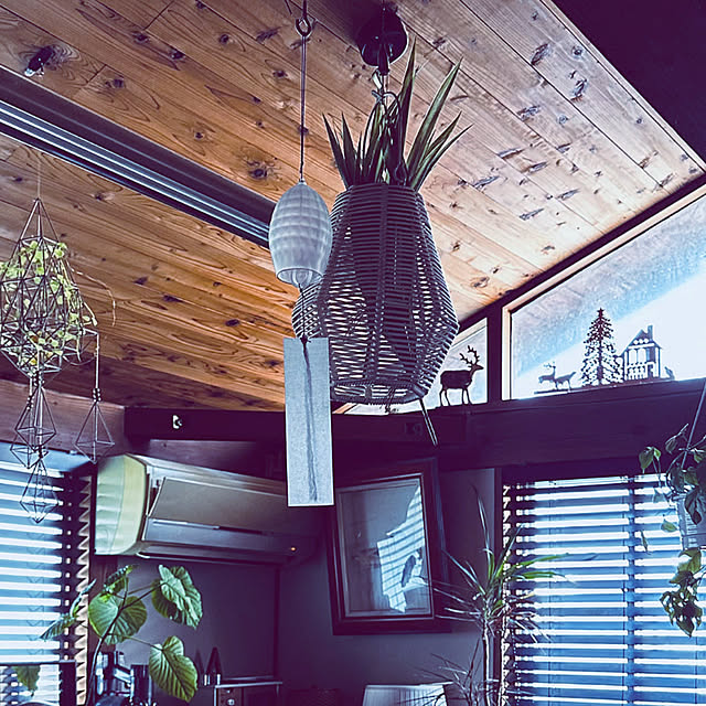 chacoさんの部屋