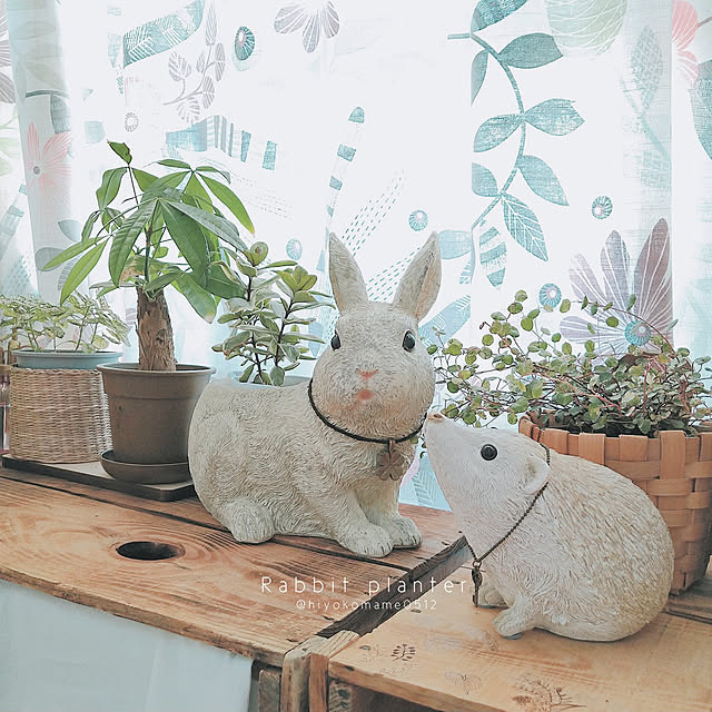 hiyokomame0512さんの実例写真