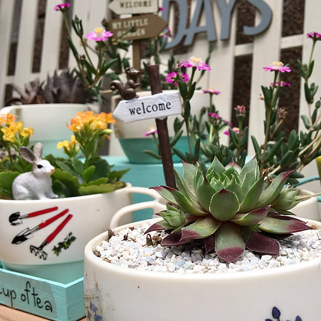 puriyuzuさんの実例写真