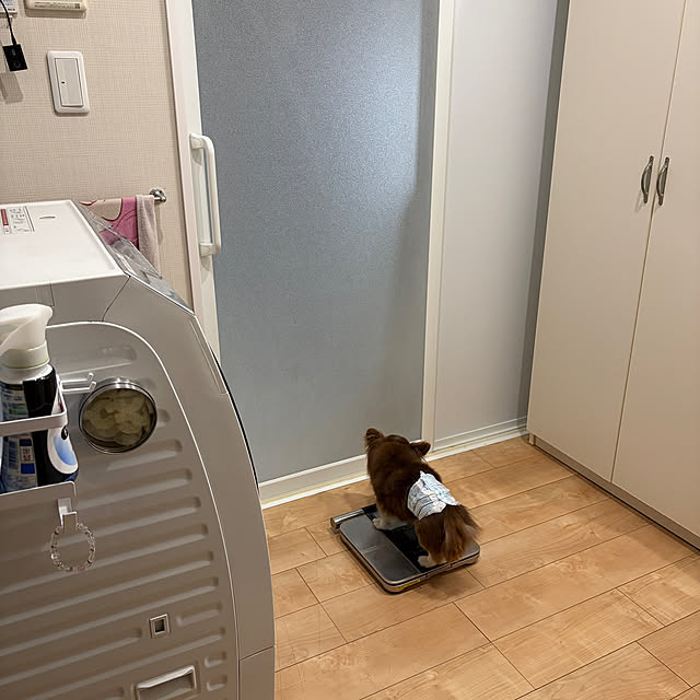 chIoeさんの部屋