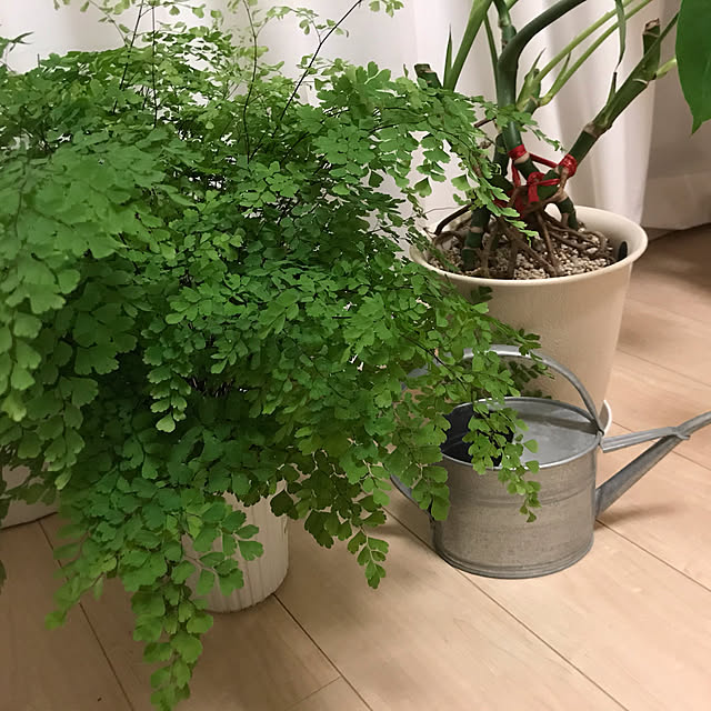 nanaoさんの実例写真
