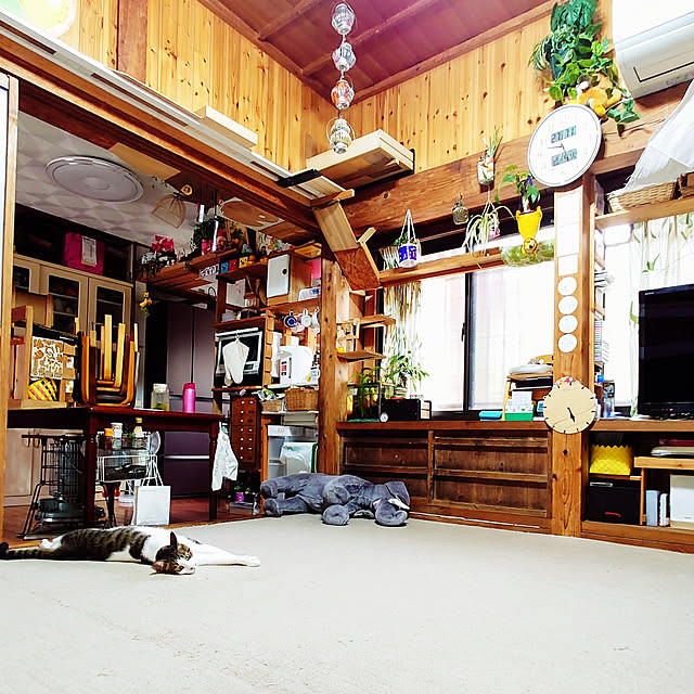 kikuさんの実例写真