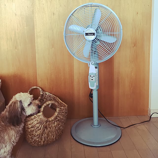 trishさんの実例写真