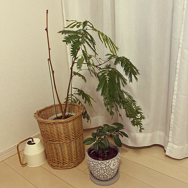 Natsuさんの実例写真