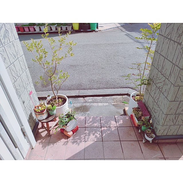m.aさんの実例写真