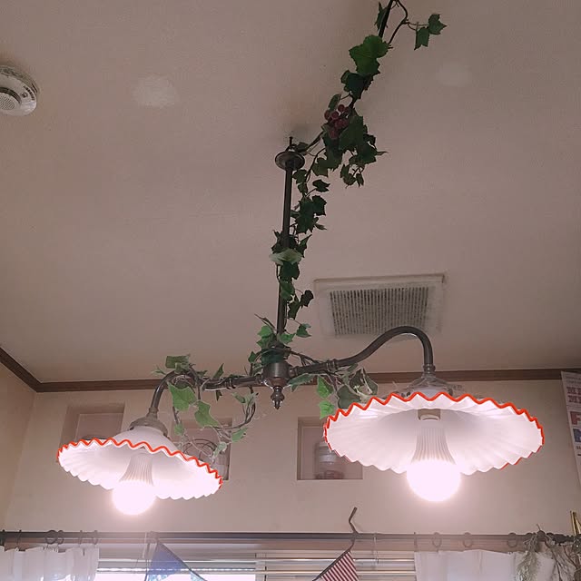 mauさんの実例写真