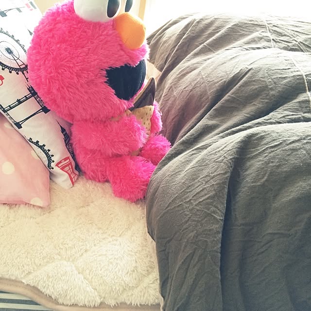 Anriさんの実例写真