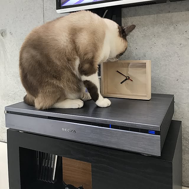 mashさんの実例写真