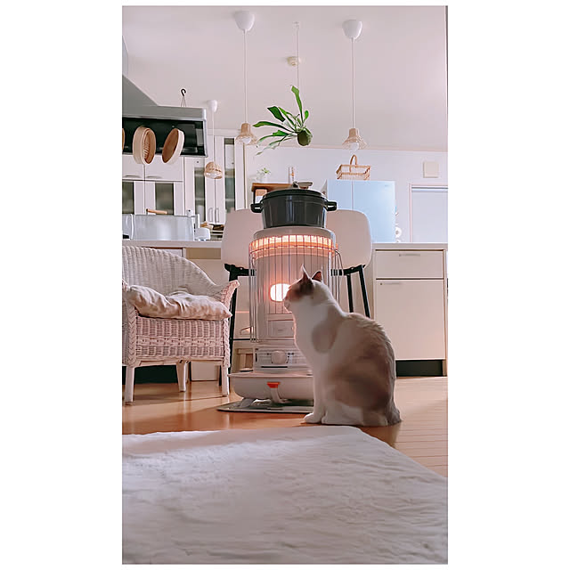 milkcocoaさんの実例写真