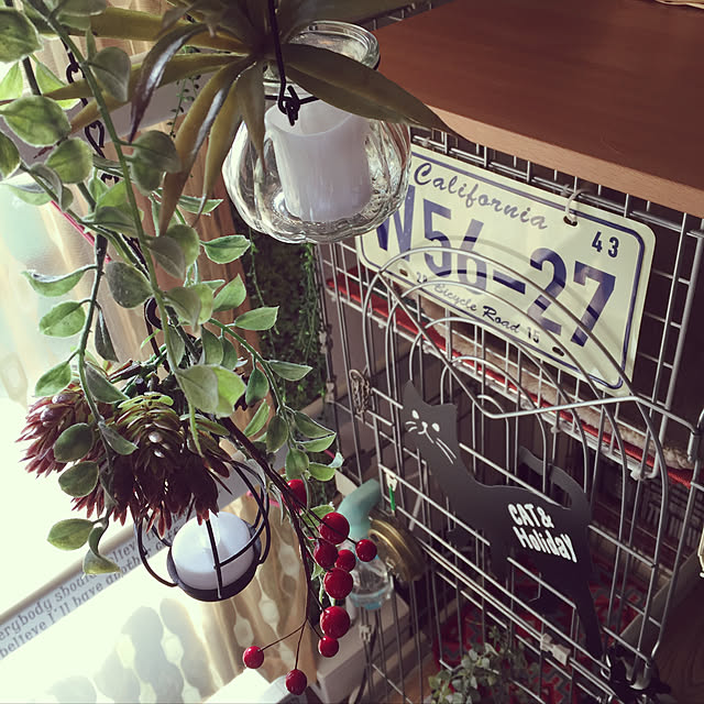 pittさんの実例写真