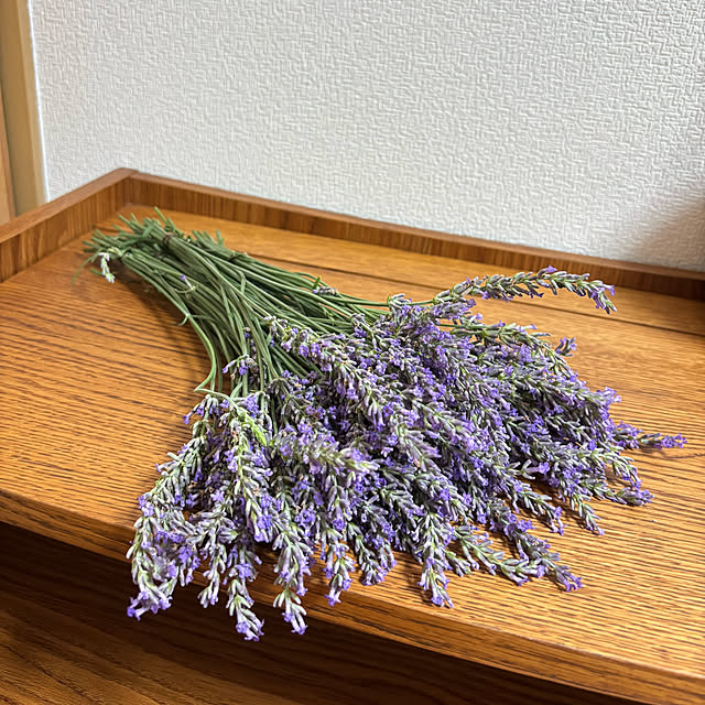 kyoko1124koさんの部屋