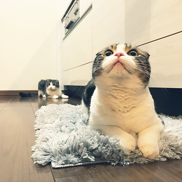 tansukeさんの実例写真