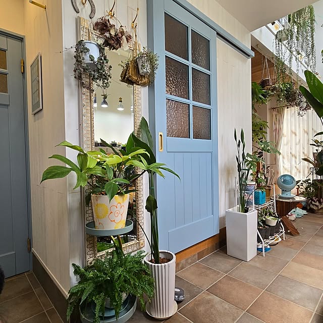 nonbiri_house_さんの部屋