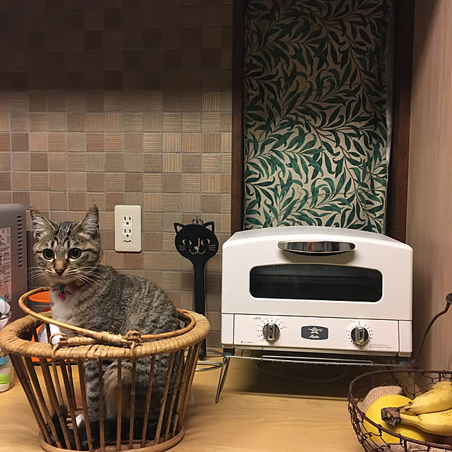 shigimiさんの実例写真