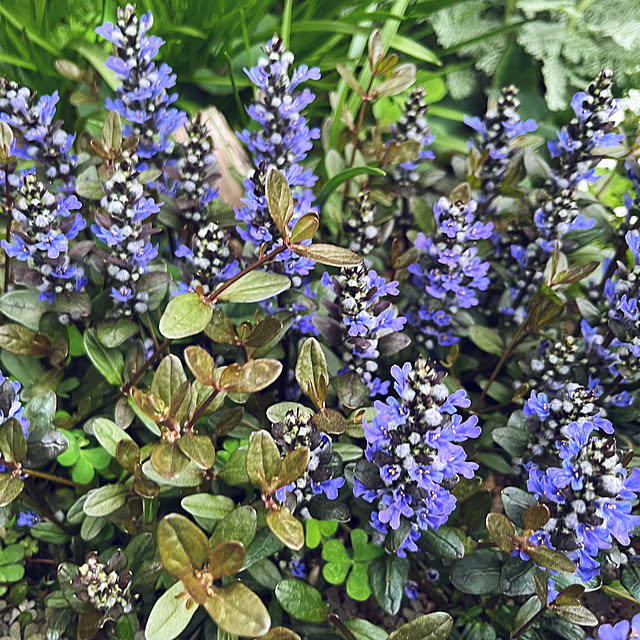 yuuumyさんの部屋