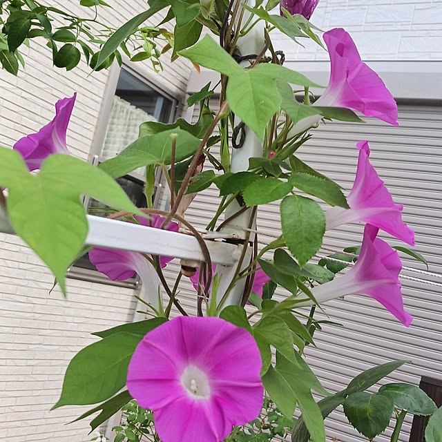 aiさんの部屋
