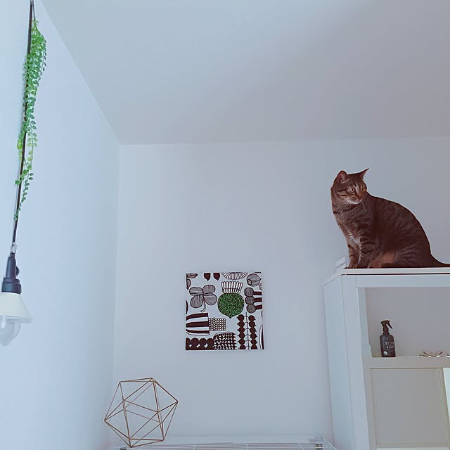 nyan.73さんの実例写真