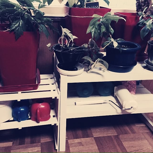 Hiroeさんの実例写真