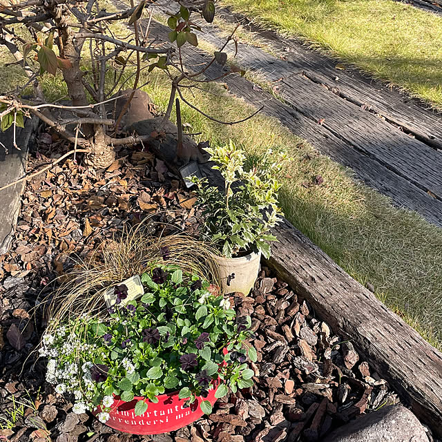 nobikoさんの部屋