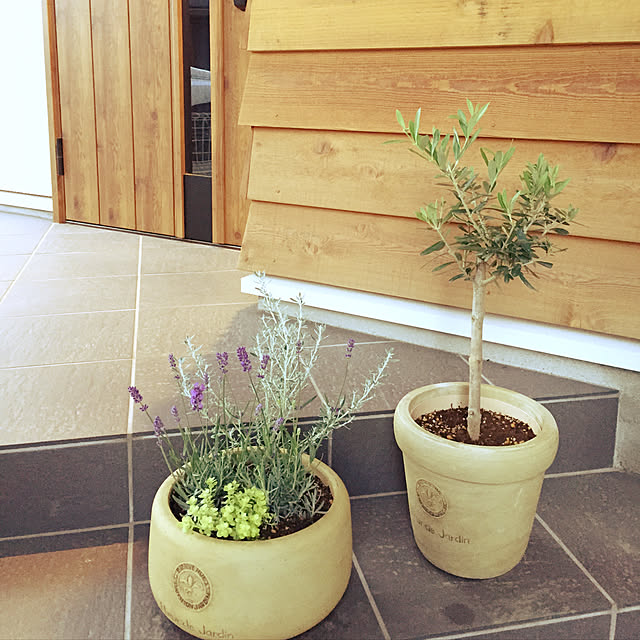 wood------k-----yさんの実例写真